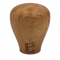 European Elm